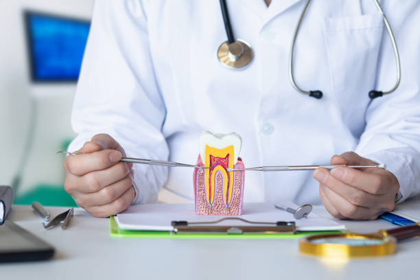 Best Emergency Broken Tooth Repair in La Porte City, IA